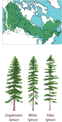 ����鿴��ɼ�Ŵ�ͼƬ