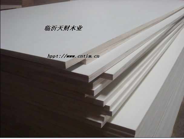 ����鿴ȫ��ľ���ϰ�Ŵ�ͼƬ