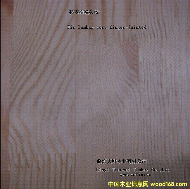 ����鿴ɼľоϸľ����Ŵ�ͼƬ