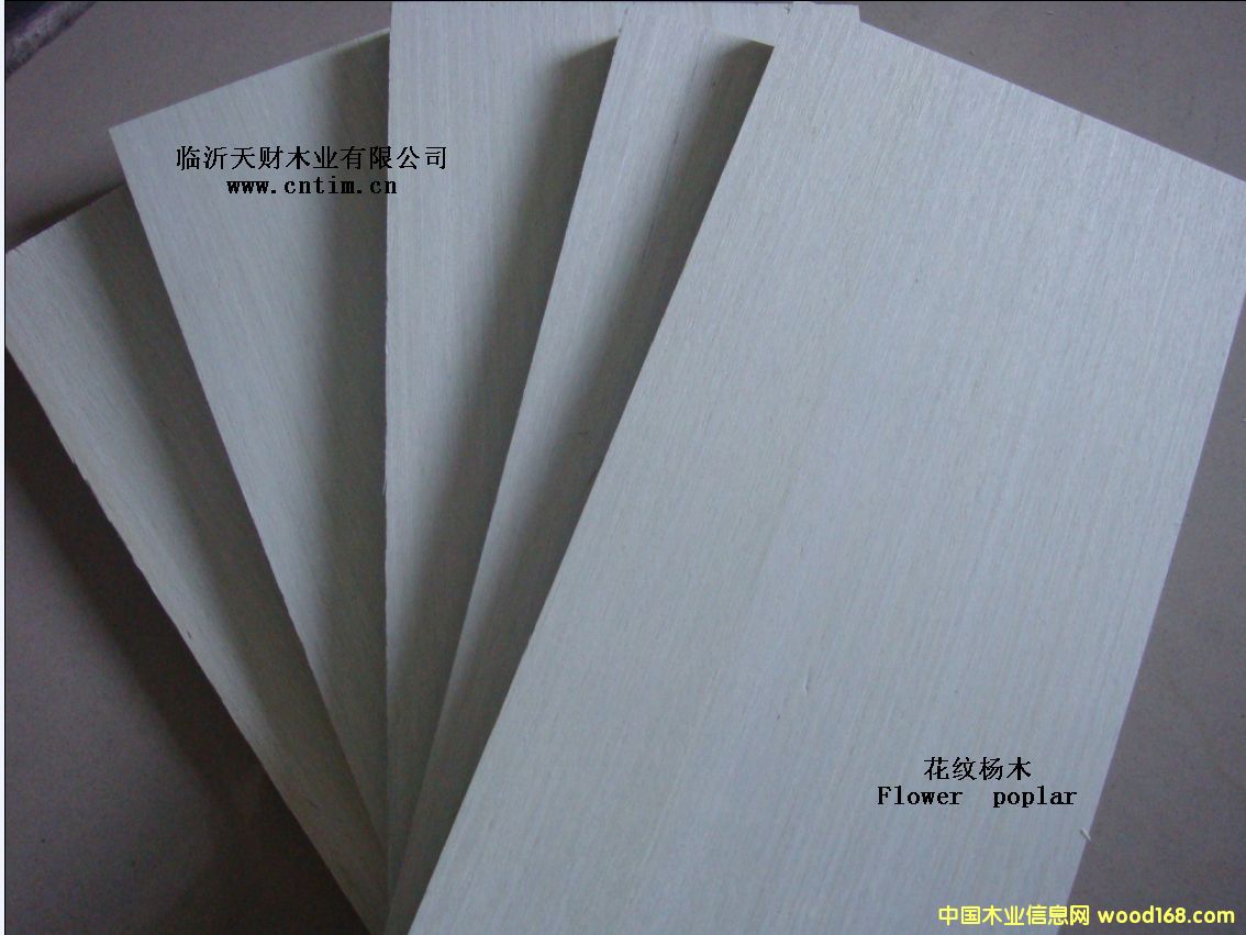 ����鿴����Ʒ�ý��ϰ�Ŵ�ͼƬ