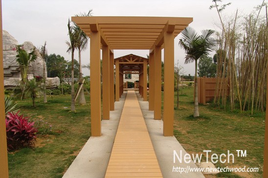 ����鿴����-������ľ����ϸ����