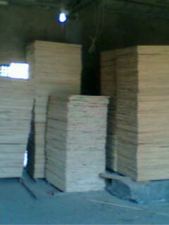 ����鿴ɼľ�ŵ���Ŵ�ͼƬ