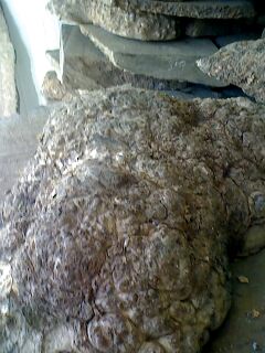 ����鿴ɽ�������Ŵ�ͼƬ