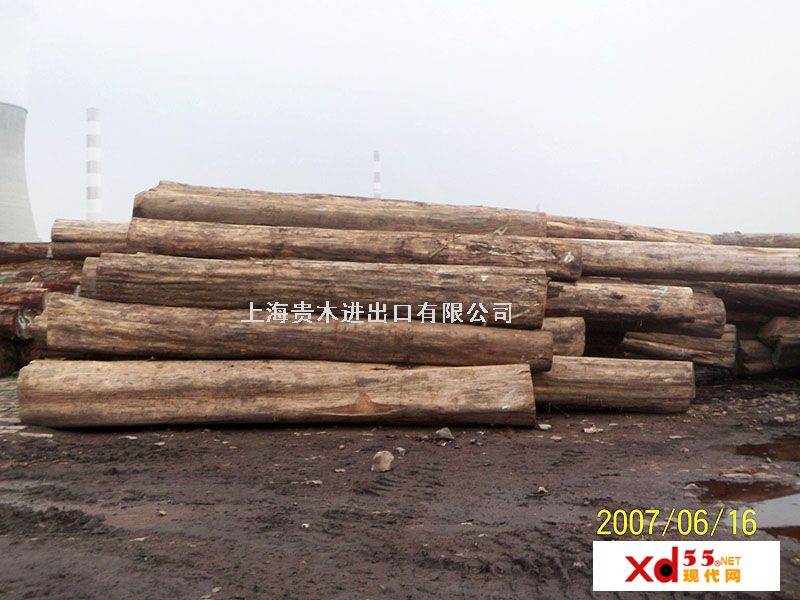 ����鿴��ľԭľ�Ŵ�ͼƬ