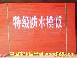 ����鿴����ľģ��Ŵ�ͼƬ