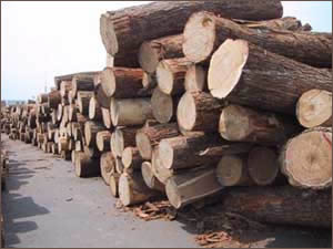 ����鿴ԭľ�Ŵ�ͼƬ