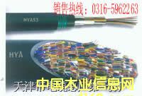 ͨŵHYA53 (HYA)HYA HYA53