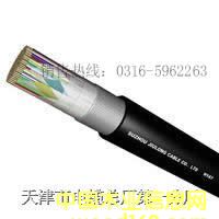 HYA53 (HYA)HYA HYA53