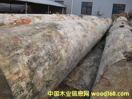 ����鿴������ԭľ�Ŵ�ͼƬ