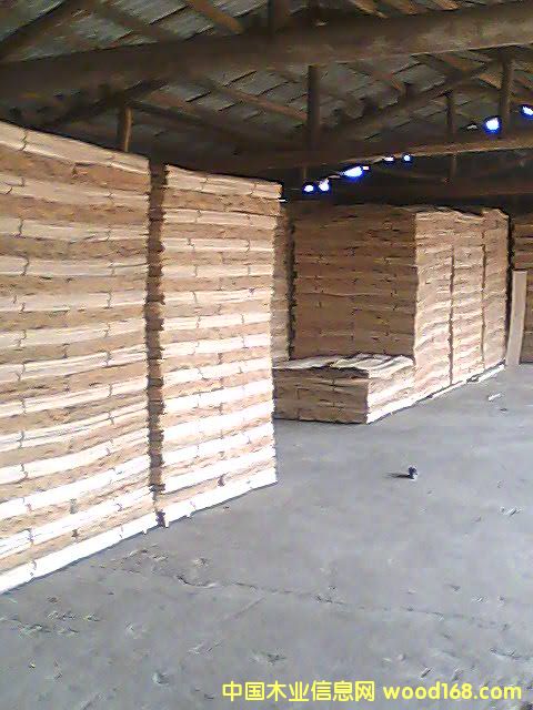 ����鿴��ľ����Ŵ�ͼƬ