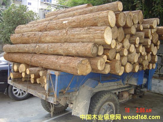 ����鿴��ϲķŴ�ͼƬ