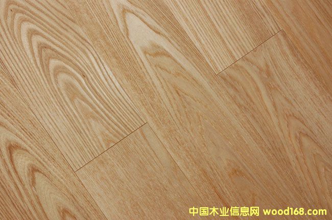 ����鿴��ľ��Ŵ�ͼƬ