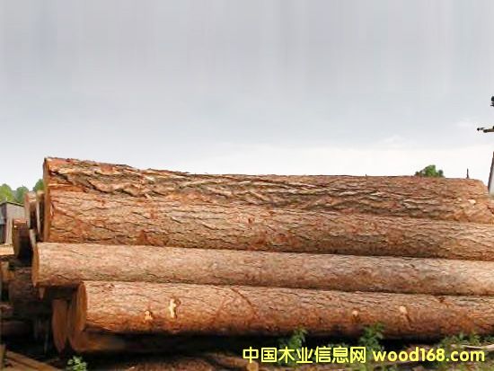 ����鿴��Ҷ�ɷŴ�ͼƬ