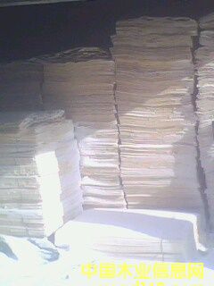 ����鿴��ľľƤ�Ŵ�ͼƬ