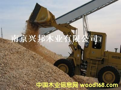 ����鿴��ľмľ��Ŵ�ͼƬ