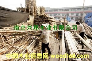 ����鿴ľ��Ŵ�ͼƬ