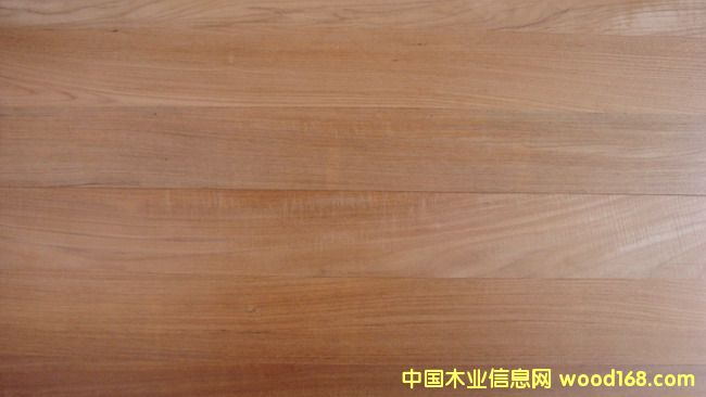 ����鿴��ľ�ذ�Ŵ�ͼƬ