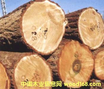 ����鿴ԭľ�Ŵ�ͼƬ