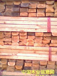 ����ϵ���ϸ����