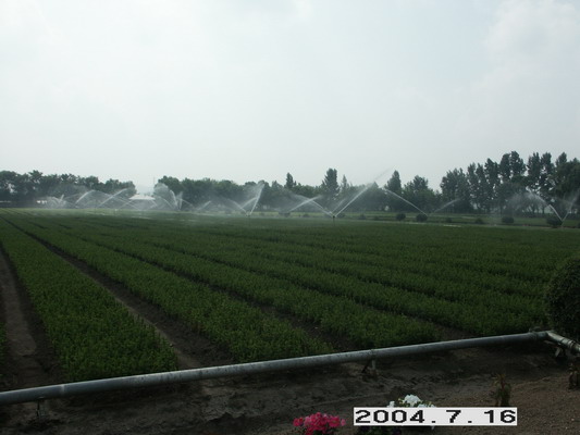 ����鿴έ���ֳ�������ϸ����