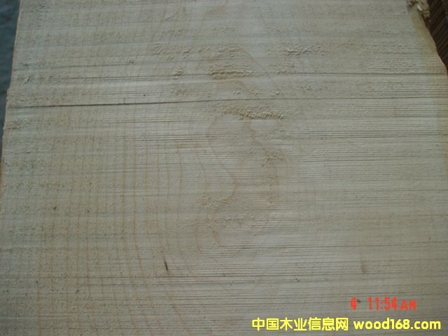 ����鿴��ľ�����ϸ����