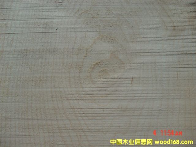 ����鿴��ľ�����ϸ����