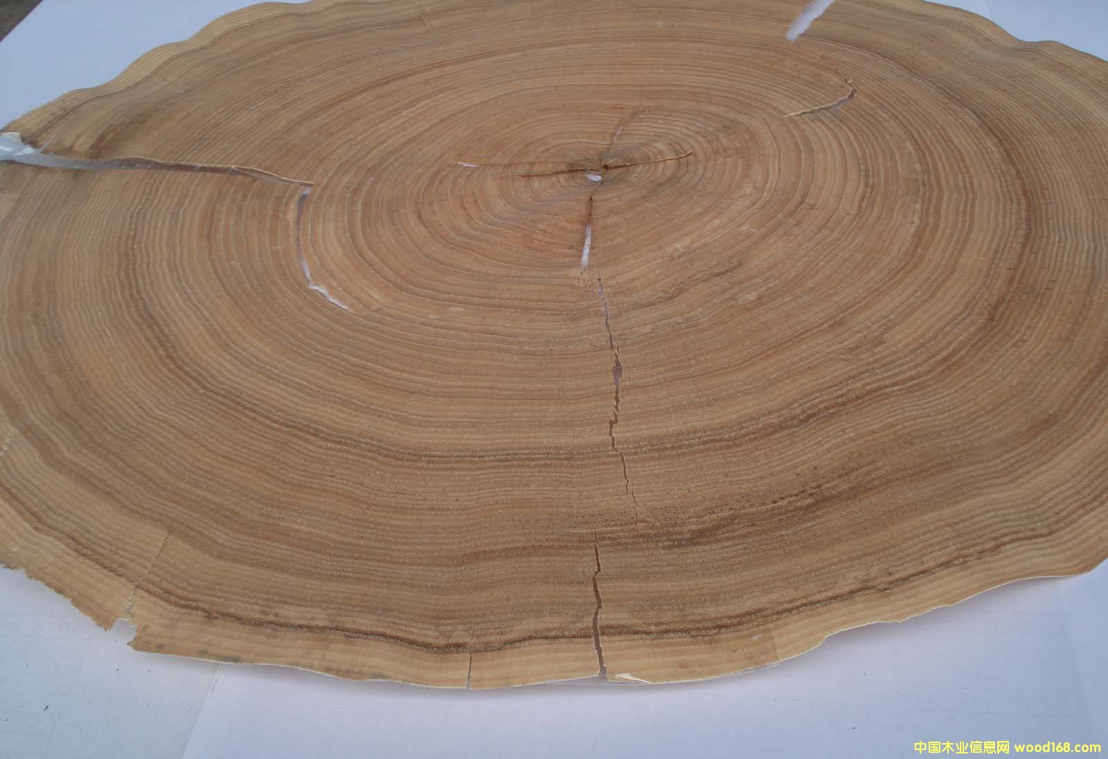 ����鿴������Ƥ annual ring  veneer��ϸ����