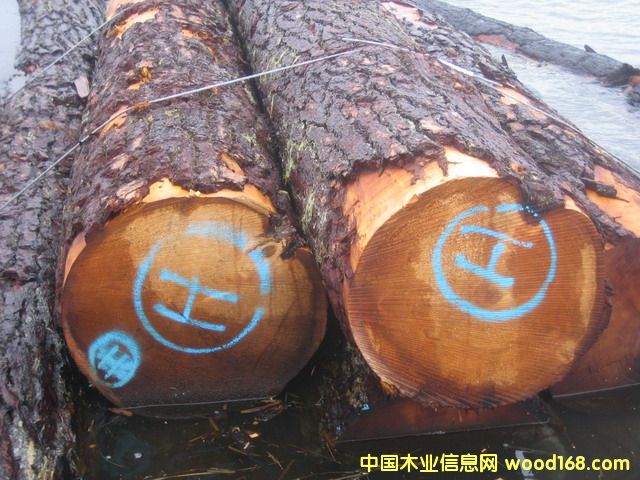����鿴��ɼԭľ��ϸ����
