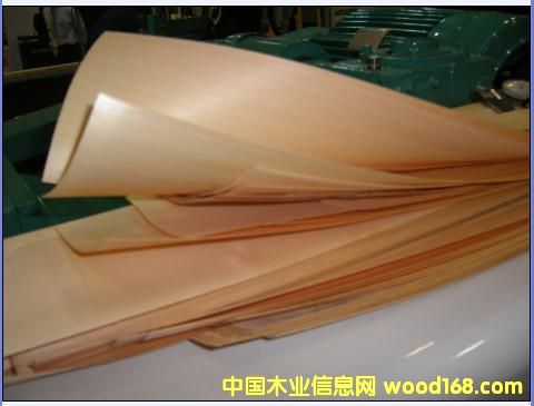 ����鿴�ձ�����SL-25T�������л���ϸ����