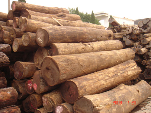 ����鿴����ľ�Ŵ�ͼƬ