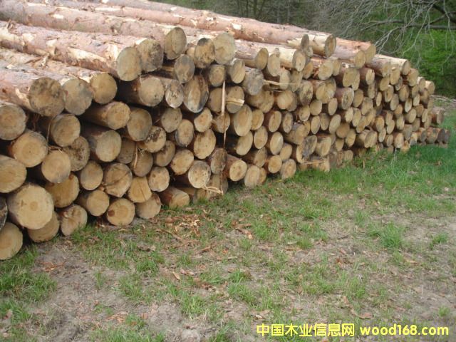 ����鿴��ɼ�Ŵ�ͼƬ