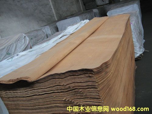 红橄榄面皮/单板的详细介绍