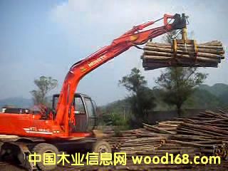 ����鿴ץľ�ھ���Ŵ�ͼƬ