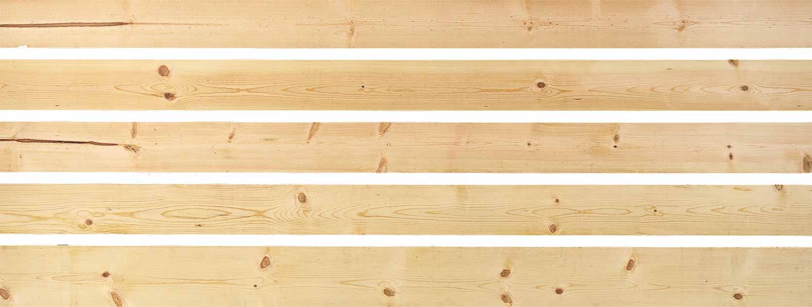 ����鿴Ponderosa pine�Ŵ�ͼƬ