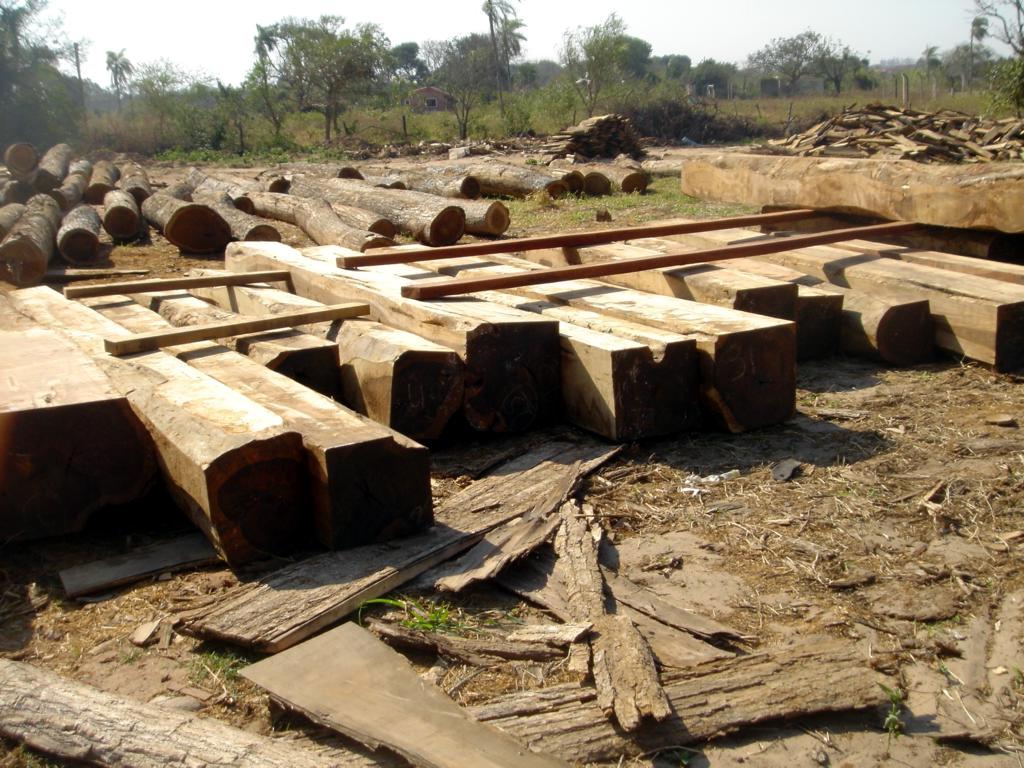 ����鿴��̴��Ŵ�ͼƬ