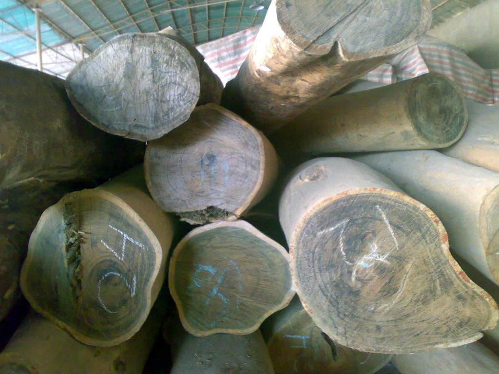 ����鿴��̴��Ŵ�ͼƬ