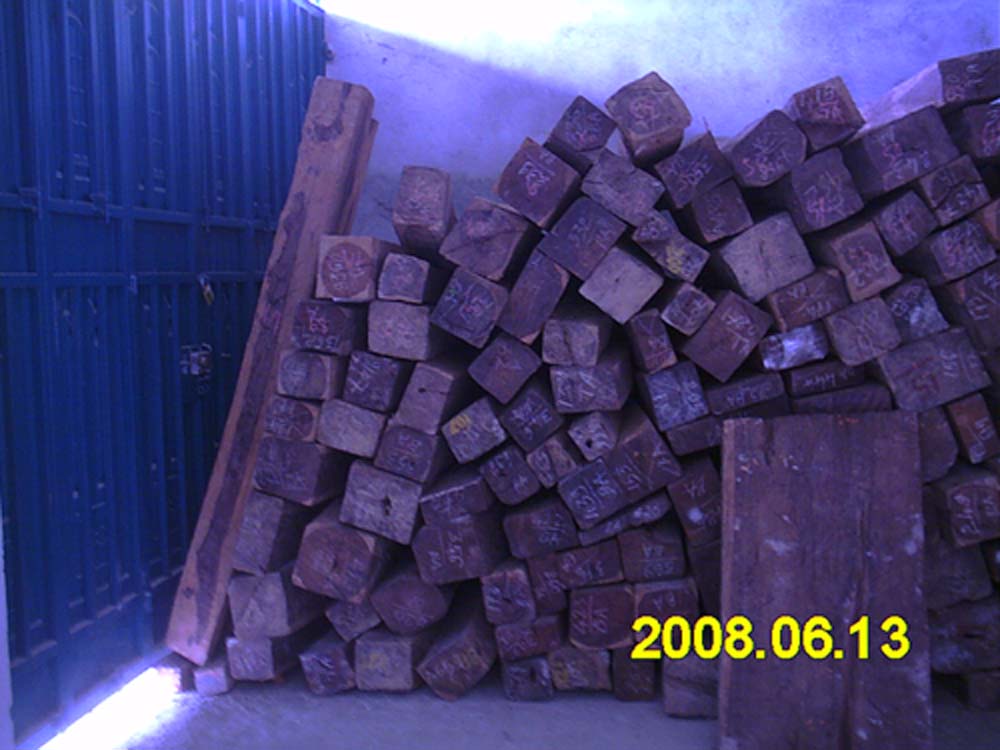 ����鿴����֦�Ŵ�ͼƬ