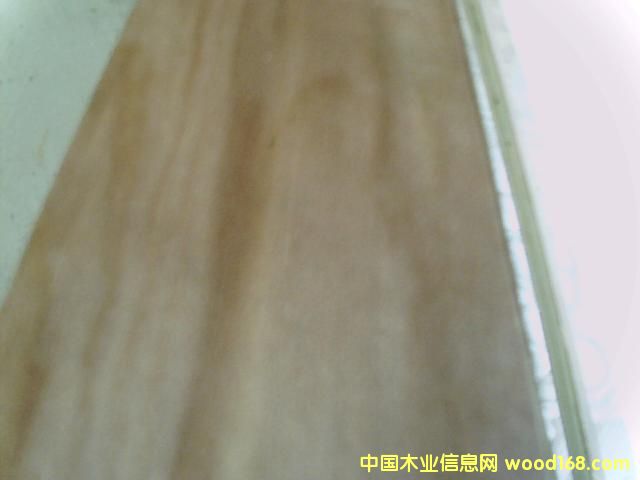 ����鿴��ľ���ϰ�Ŵ�ͼƬ