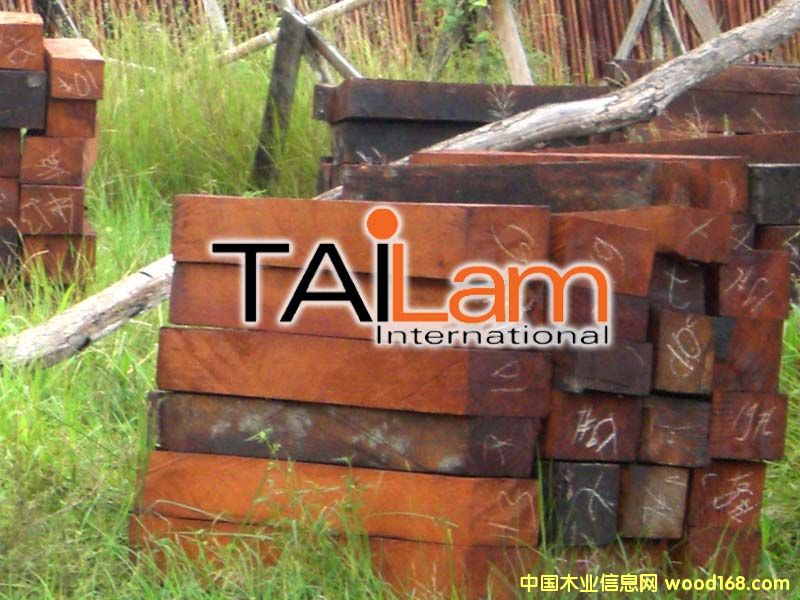 ����鿴������ķ��ϷŴ�ͼƬ