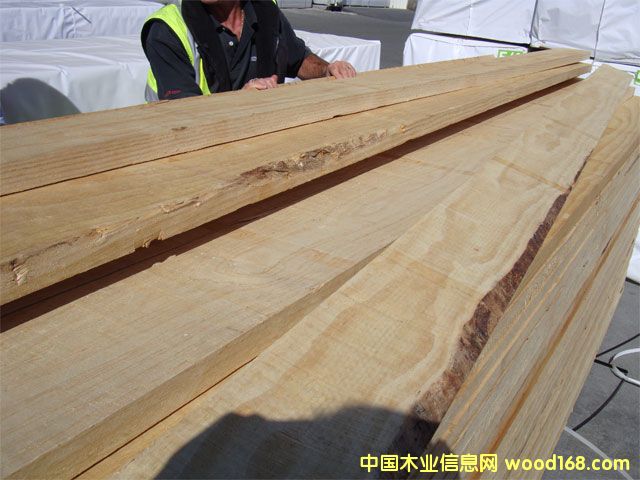 ����鿴�����ɰ�ķŴ�ͼƬ