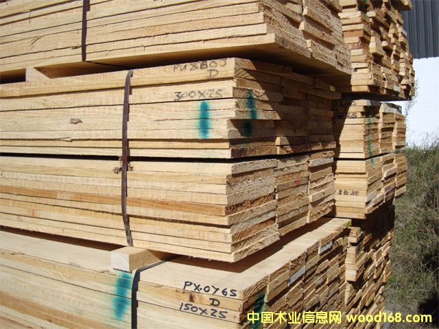 ����鿴�����ɰ�ķŴ�ͼƬ