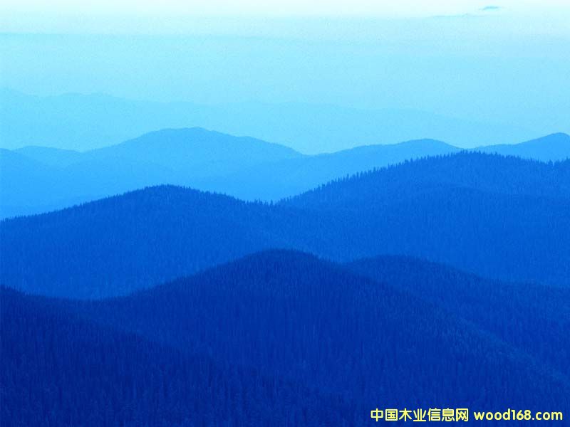 ����鿴��ľ����Ƥ�Ŵ�ͼƬ