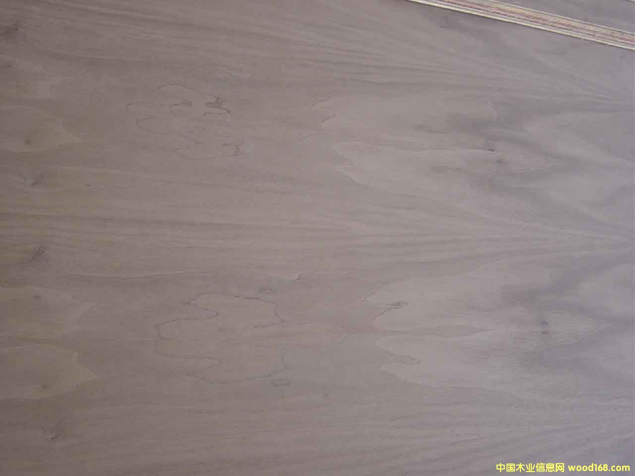 ����鿴walnut�Ŵ�ͼƬ