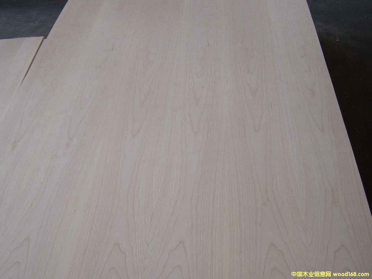 ����鿴cherry�Ŵ�ͼƬ