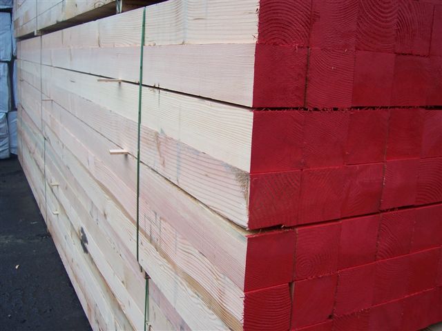 ����鿴��ľ�Ŵ�ͼƬ