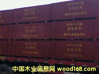 ����鿴16��Ŵ�ͼƬ