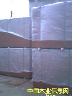 ����鿴13�Ŵ�ͼƬ