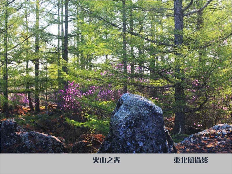 ����鿴ľ�ϷŴ�ͼƬ