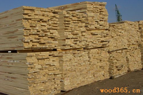 ����鿴��ľ�����ķŴ�ͼƬ