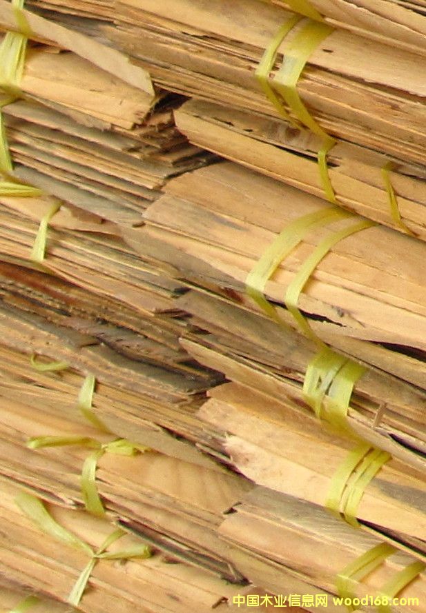 ����鿴��ľľƤ�Ŵ�ͼƬ